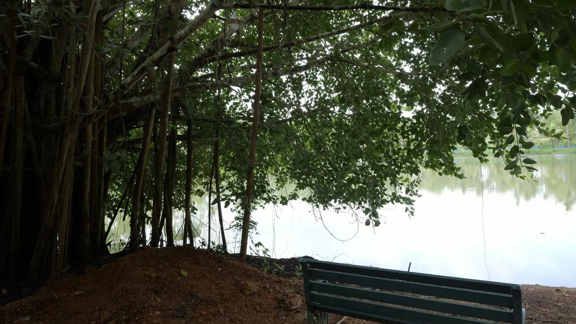 Holiday home Chirpingnest Villa Kumarakom India