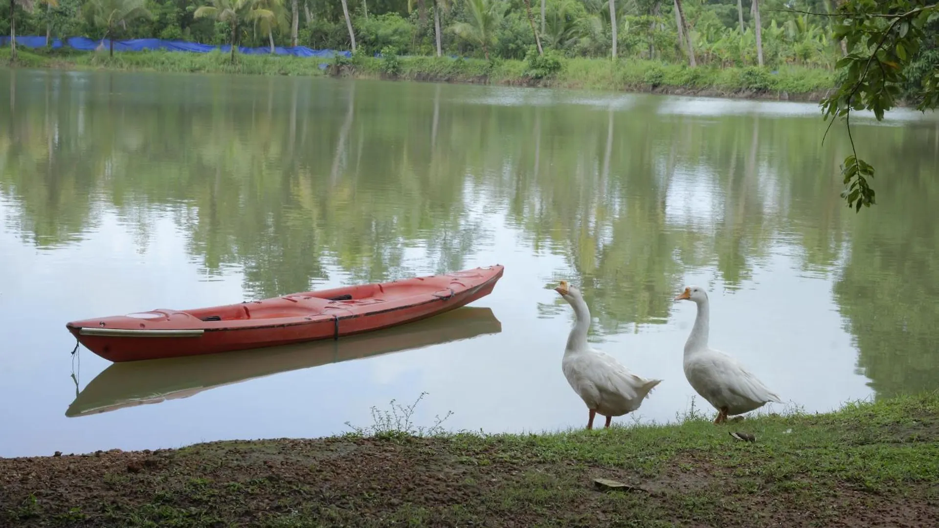 Chirpingnest Villa Kumarakom