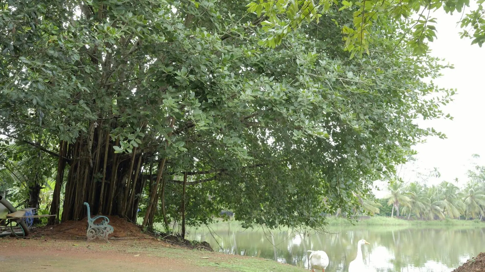 Chirpingnest Villa Kumarakom India