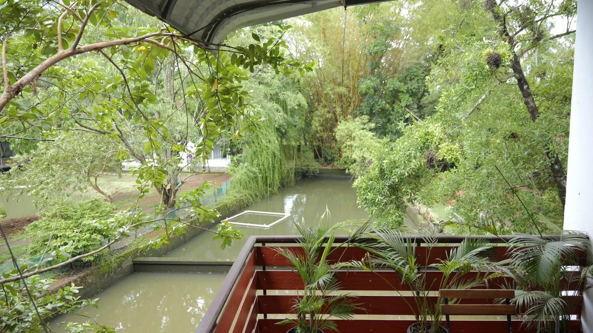 Chirpingnest Villa Kumarakom India