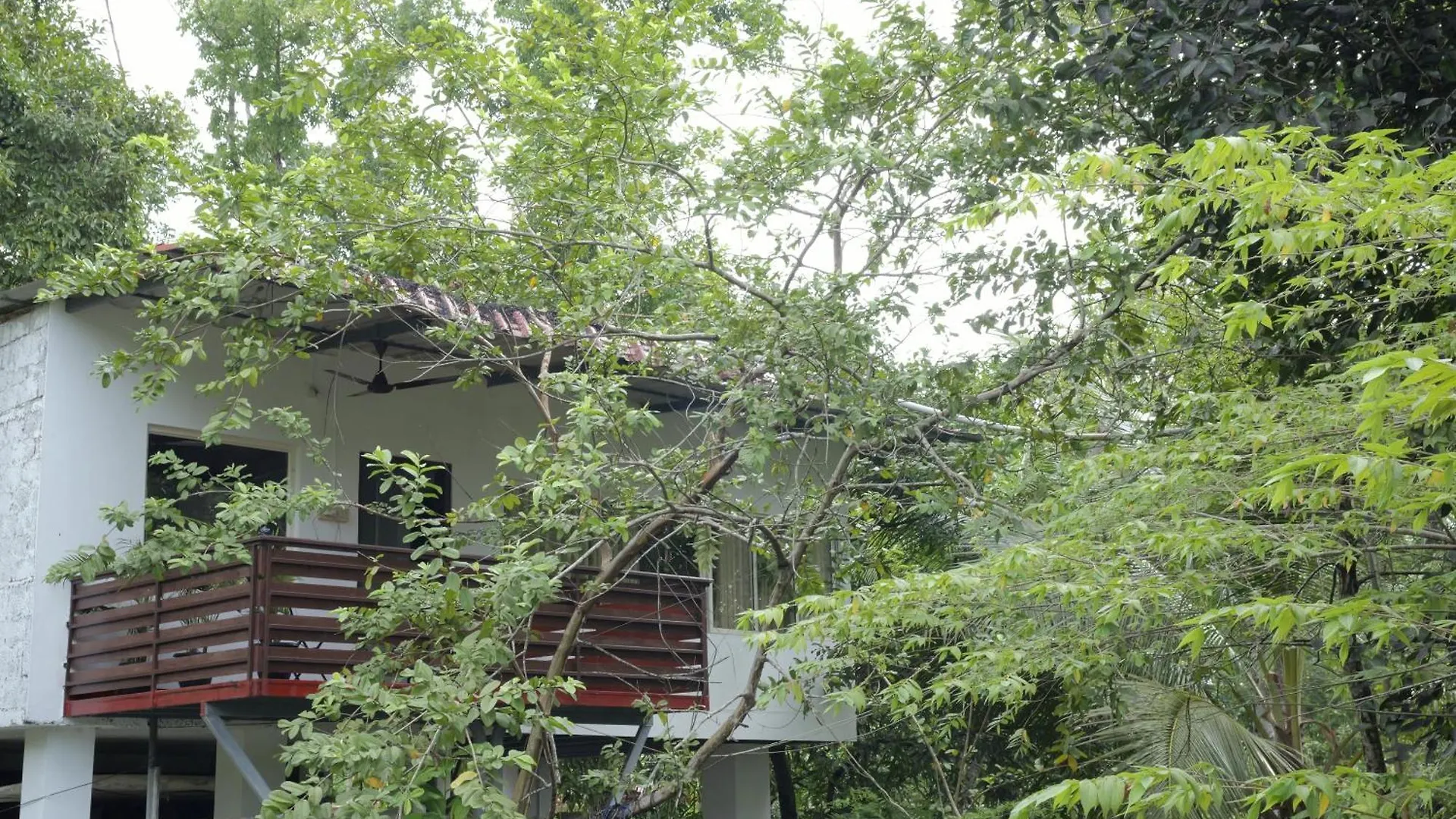 Chirpingnest Villa Kumarakom 0*,  India